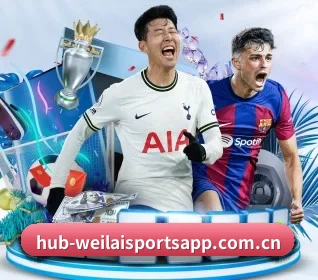 我们在做什么 - 长期内容价值积累（weilaitiyu）